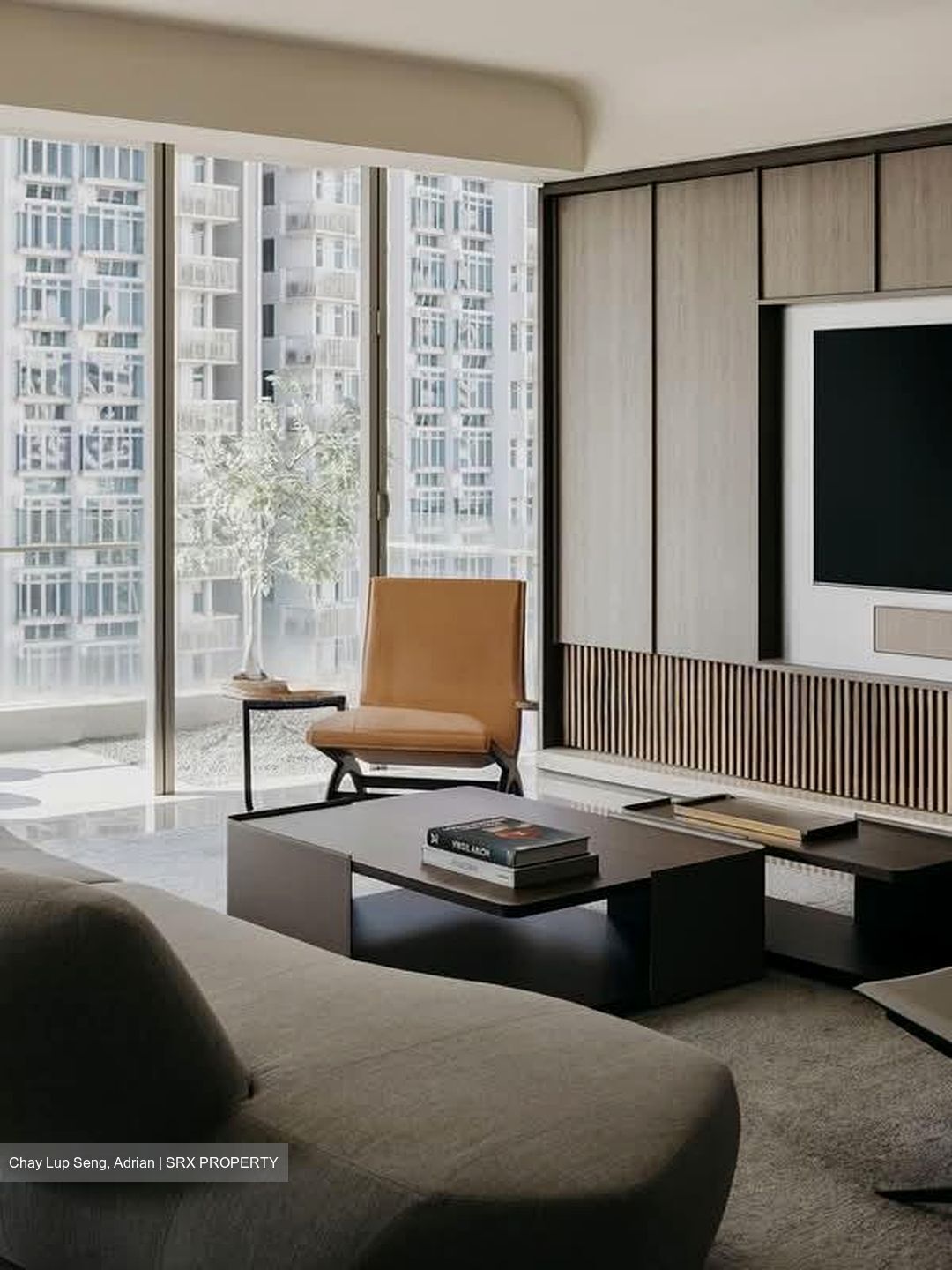 The Light @ Cairnhill (D9), Condominium #540907641